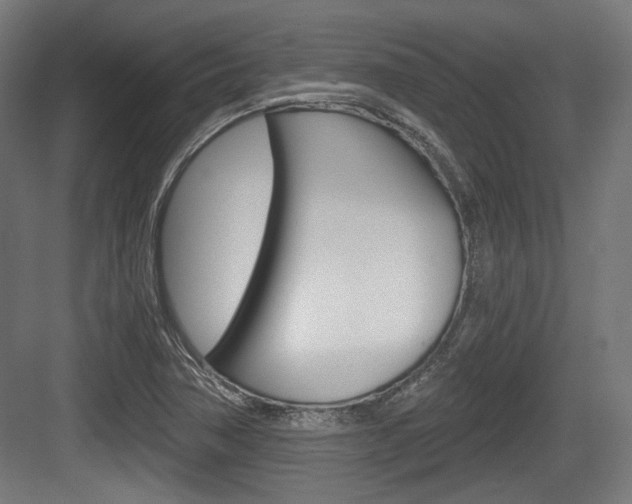 X0000084041362200702160842
