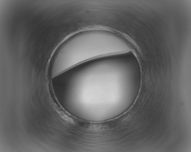 X0000084041364200702160842