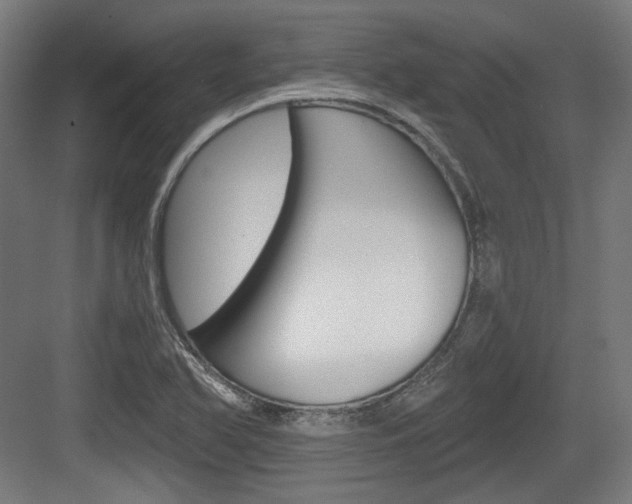X0000084041366200702160842