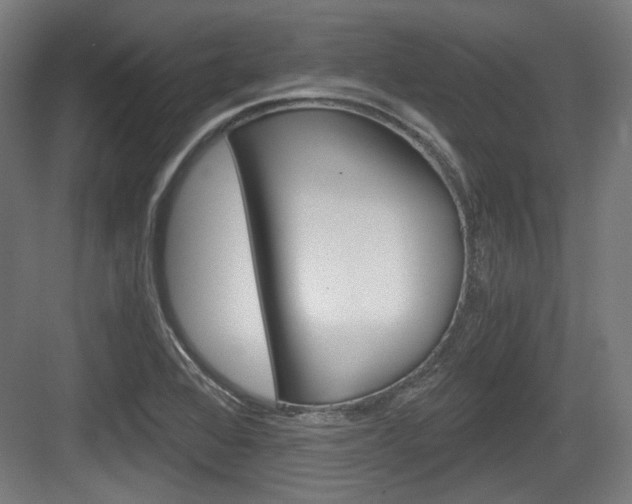 X0000084041368200702160842