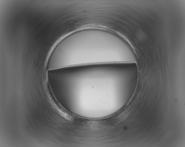 X0000084041371200702160842