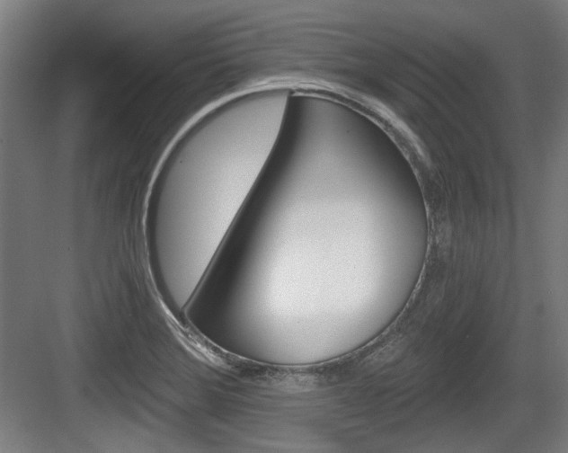 X0000084041372200702160842