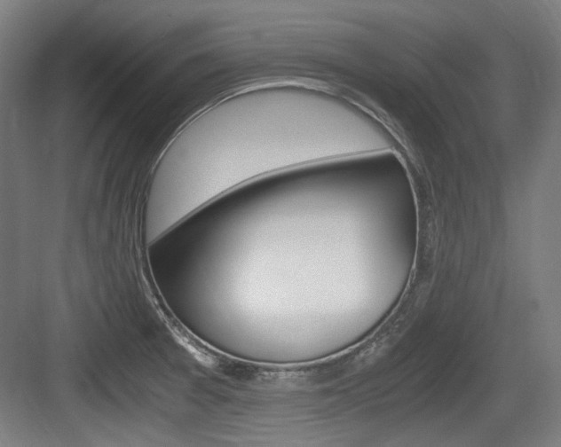X0000084041377200702160842