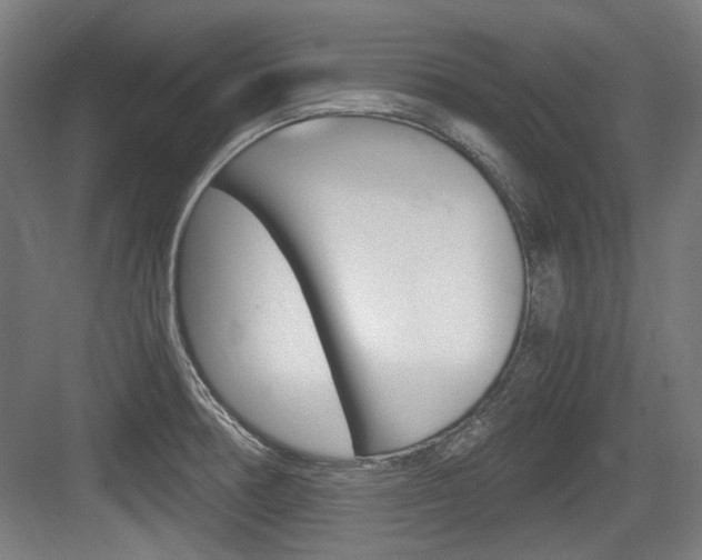 X0000084041378200702160842