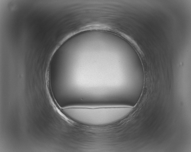 X0000084041383200702160842