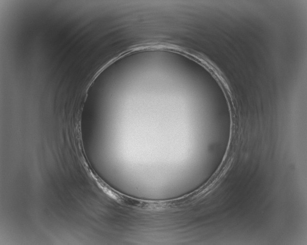X0000084041385200702160842