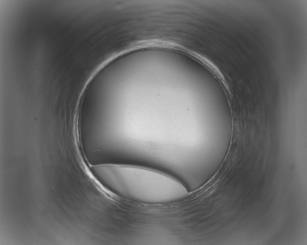 X0000084041391200702160842