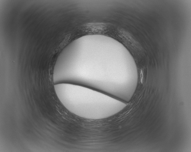 X0000084041395200702160841