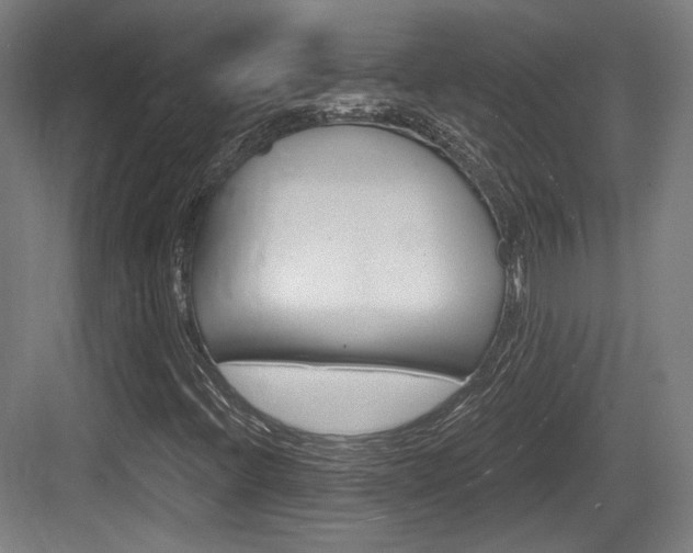 X0000084041396200702160841