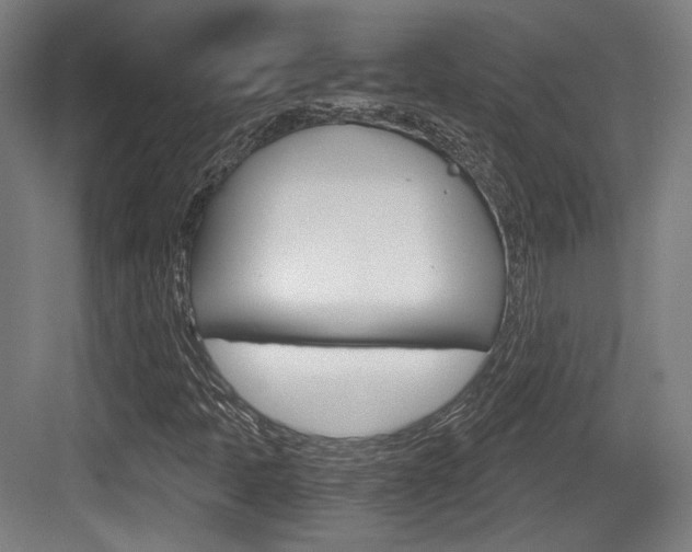 X0000084041397200702160841