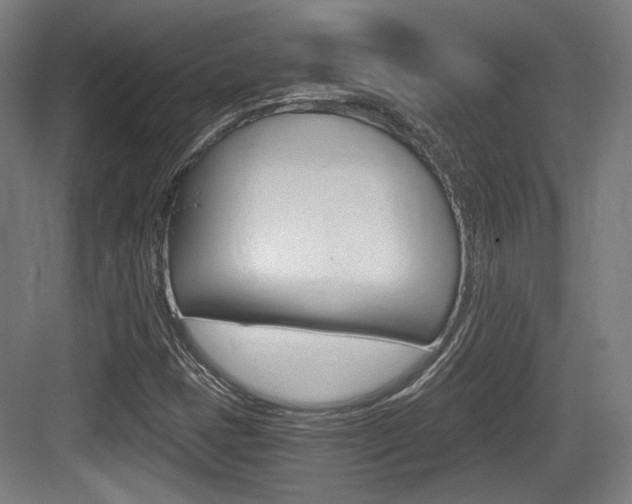 X0000084041401200702160841