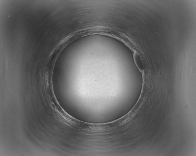 X0000084041402200702160841