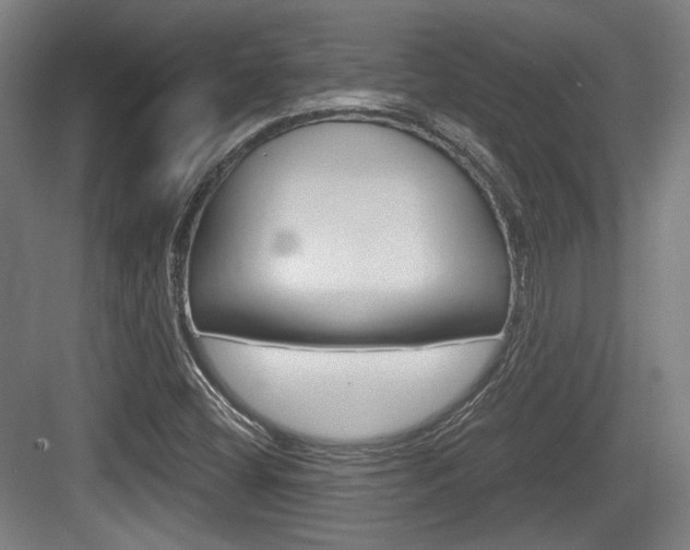 X0000084041404200702160841