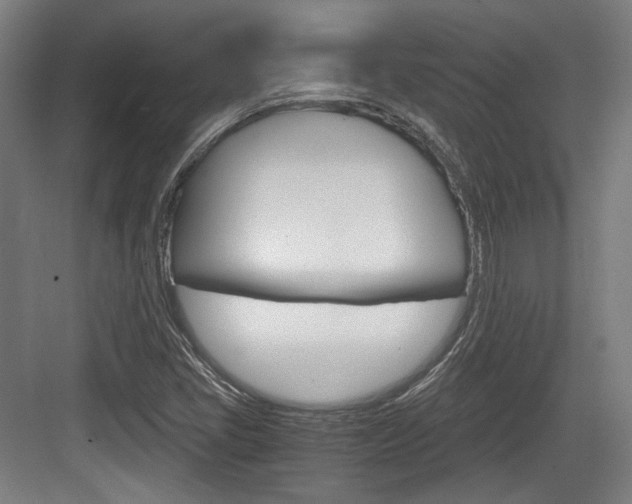 X0000084041405200702160841