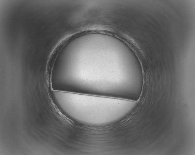 X0000084041408200702160841