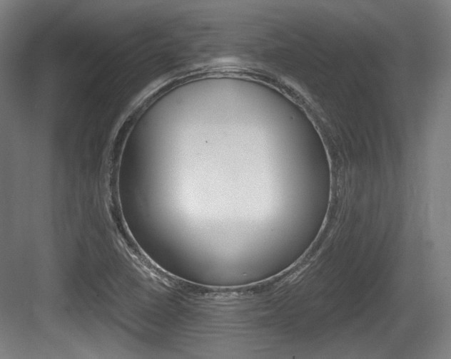 X0000084041410200702160841