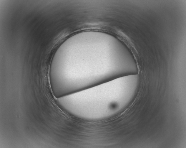 X0000084041411200702160841
