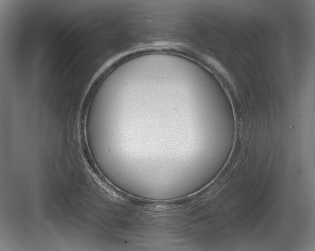X0000084041412200702160841