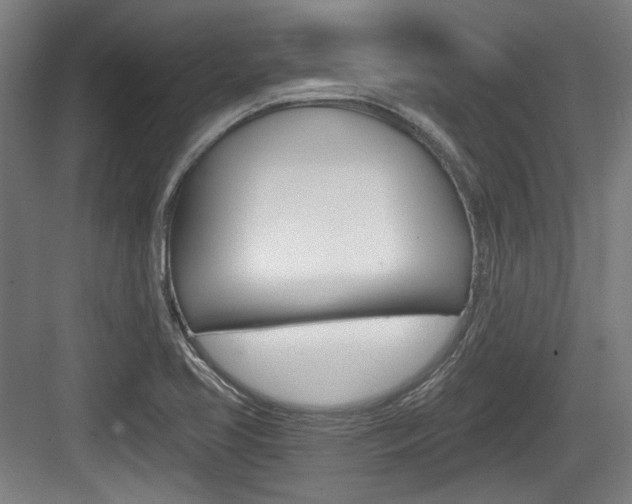 X0000084041413200702160841