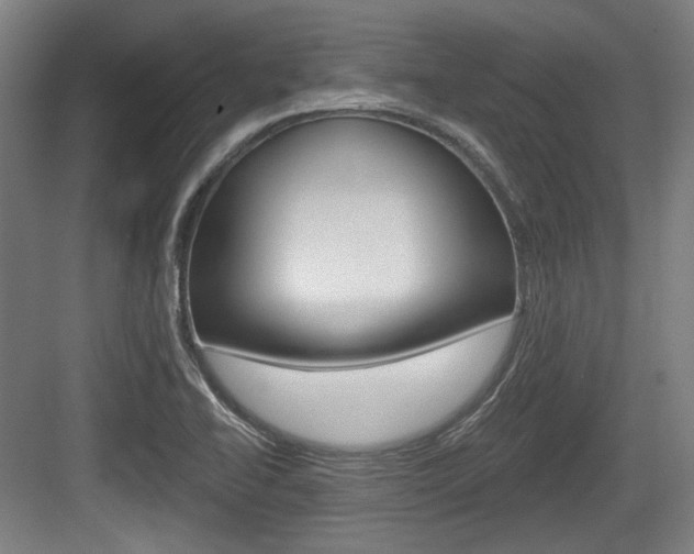 X0000084041414200702160841