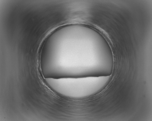 X0000084041415200702160841