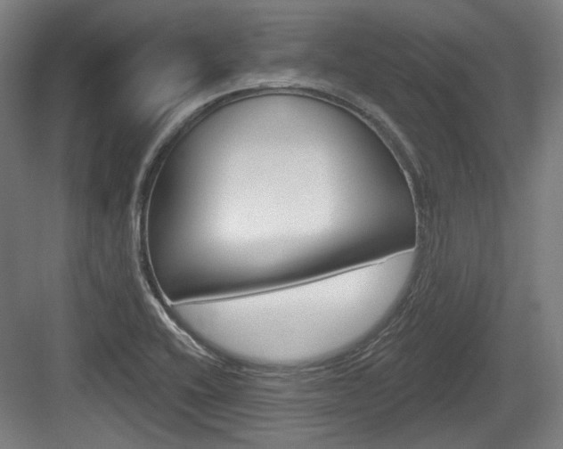 X0000084041416200702160841