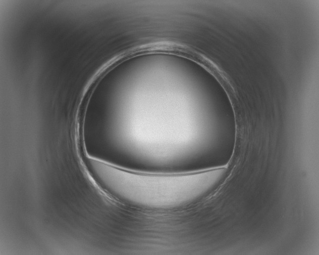 X0000084041418200702160841