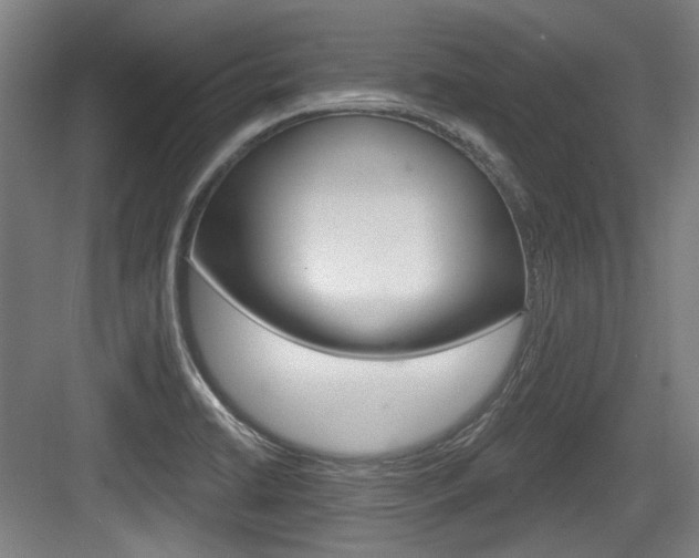 X0000084041422200702160842