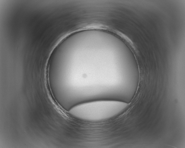 X0000084041423200702160842