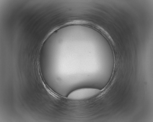 X0000084041425200702160842