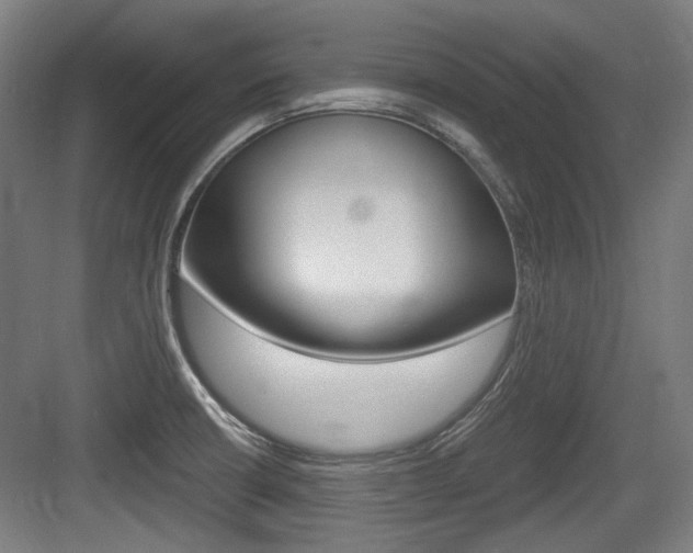 X0000084041426200702160842