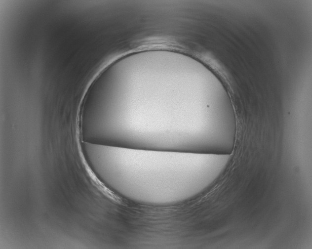 X0000084041431200702160842