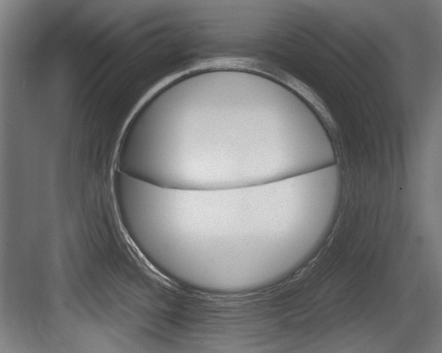 X0000084041436200702160842