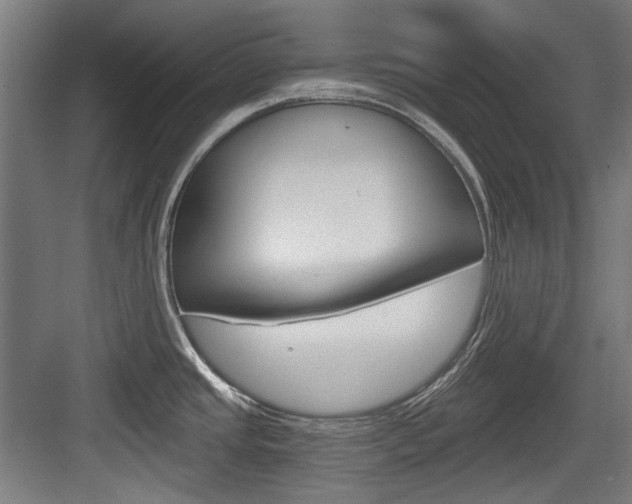 X0000084041437200702160842
