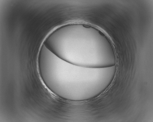 X0000084041440200702160842