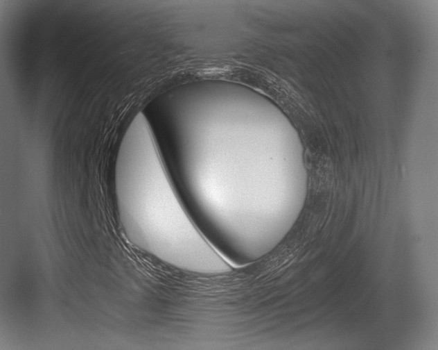 X0000084041441200702160841