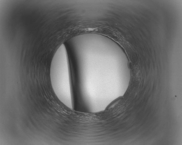 X0000084041442200702160841