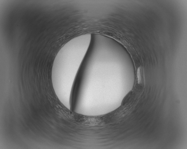 X0000084041443200702160841