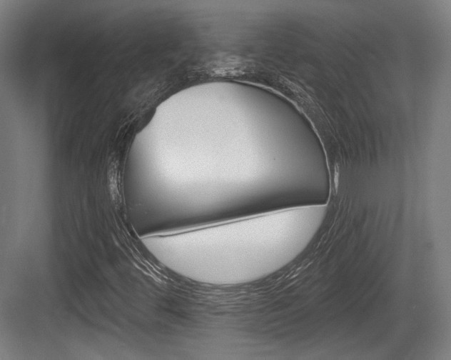 X0000084041444200702160841