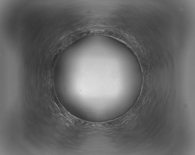 X0000084041445200702160841