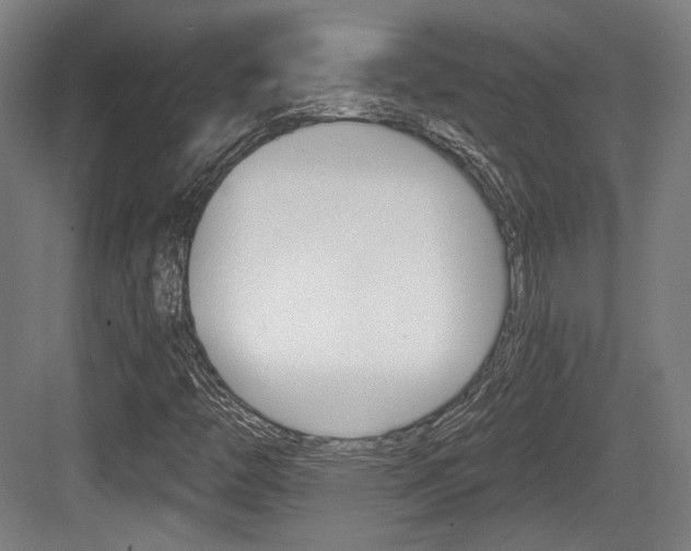 X0000084041446200702160841