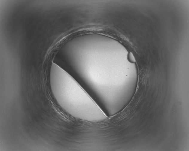 X0000084041448200702160841