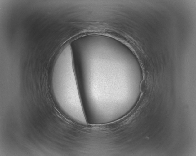 X0000084041449200702160841