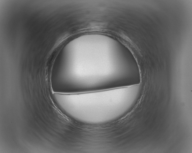 X0000084041450200702160841