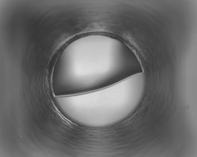 X0000084041452200702160841