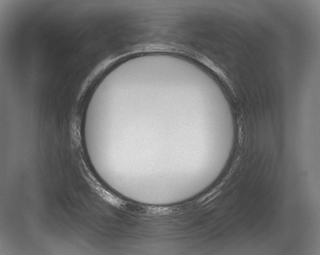 X0000084041454200702160841