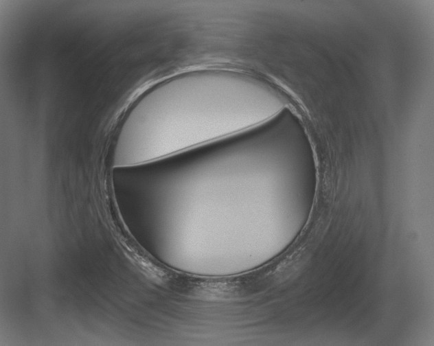 X0000084041455200702160841