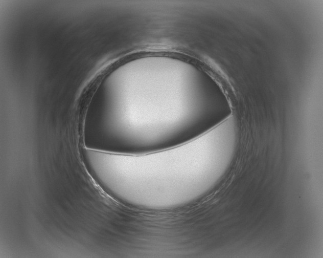 X0000084041456200702160841