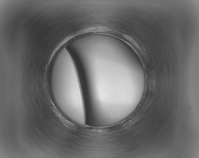 X0000084041458200702160841