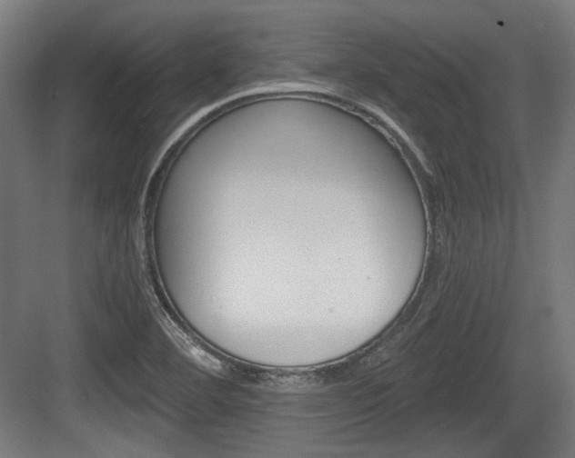 X0000084041460200702160841